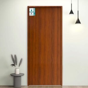 WPC Plain Door