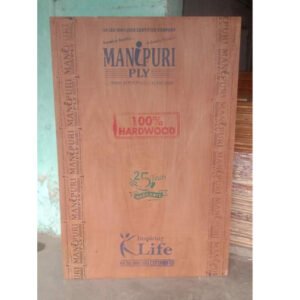 Manipuri Ply Flush Door